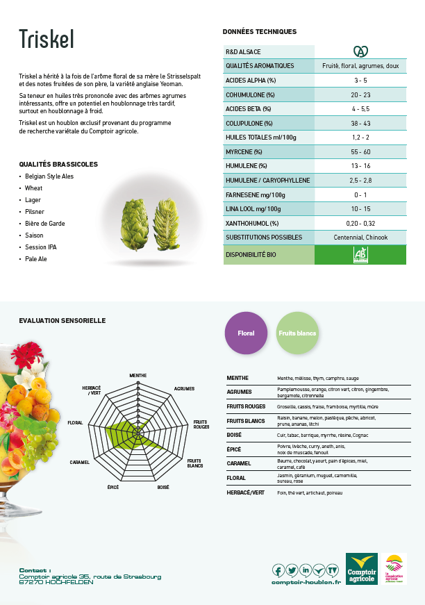 Fiche technique variété houblon mistral